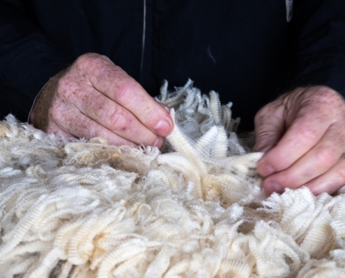 Fleece Wool