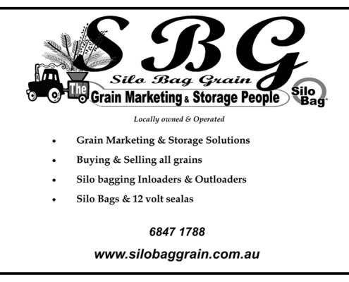 Silo Bag Grain